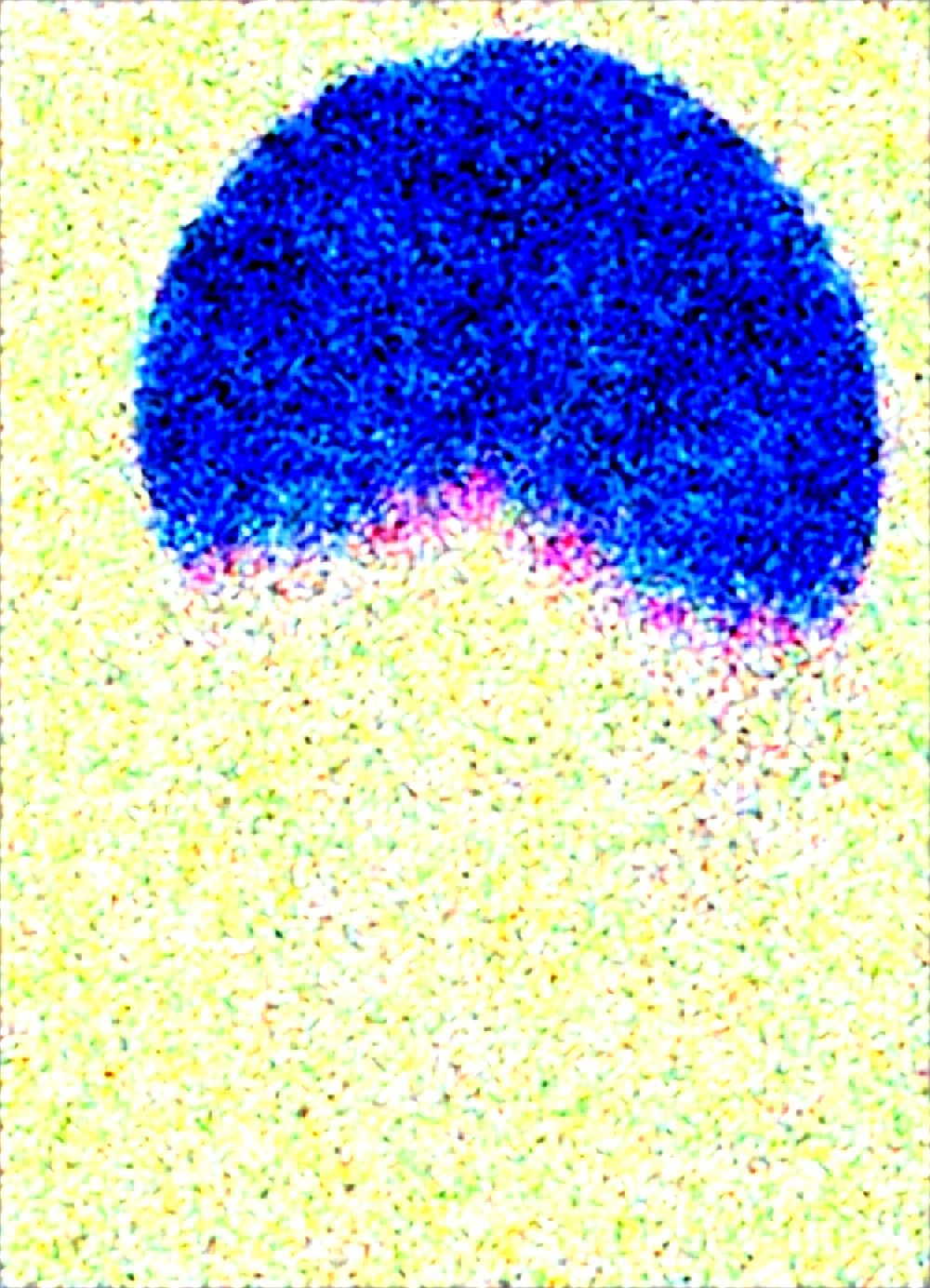 general-sfw-masterpiece-best-quality-amazing-cd1ad1 on Obsession (Illustrious-XL)