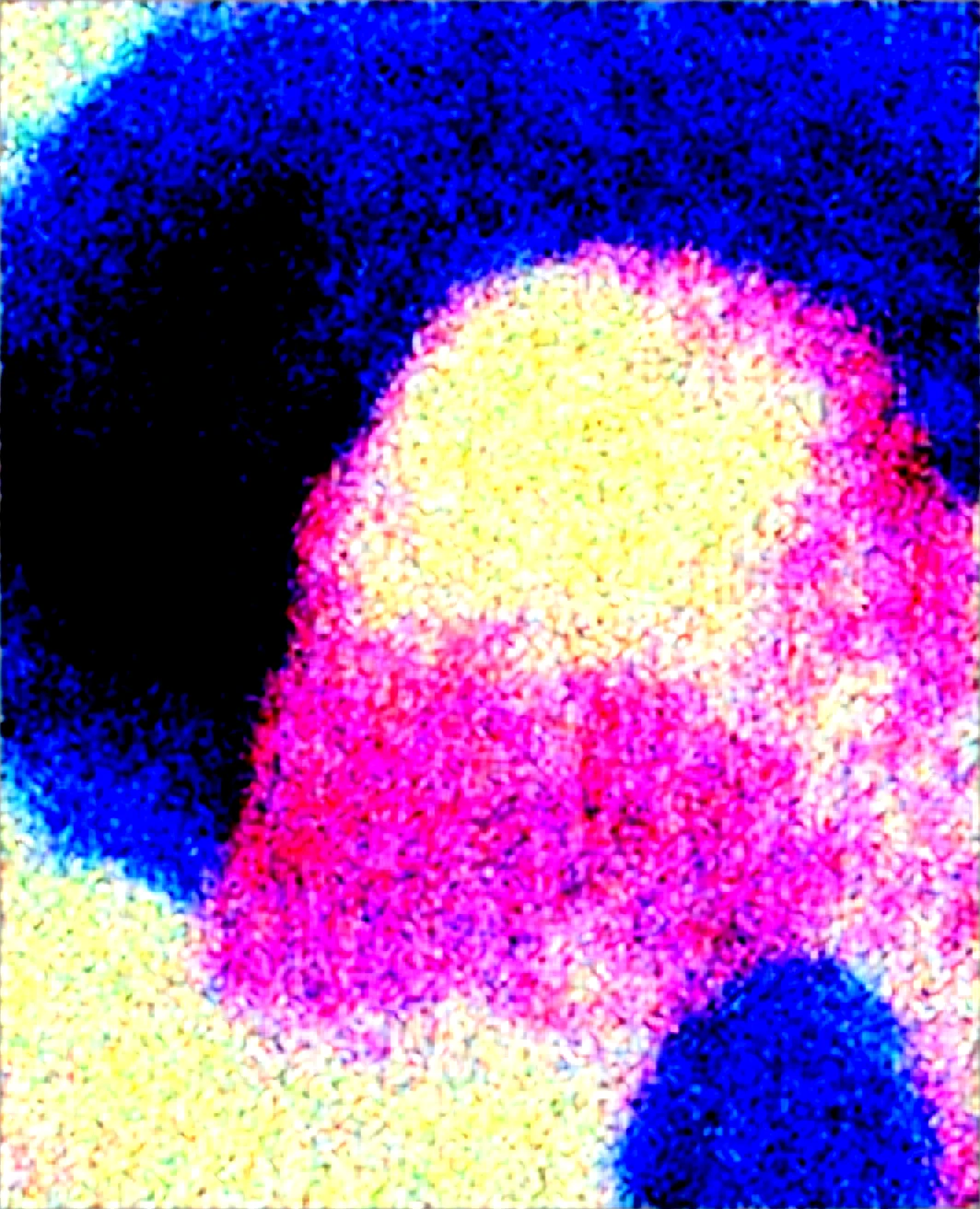 illusp0s-masterpiece-best-quality-anime-coloring-99c765 on Obsession (Illustrious-XL)