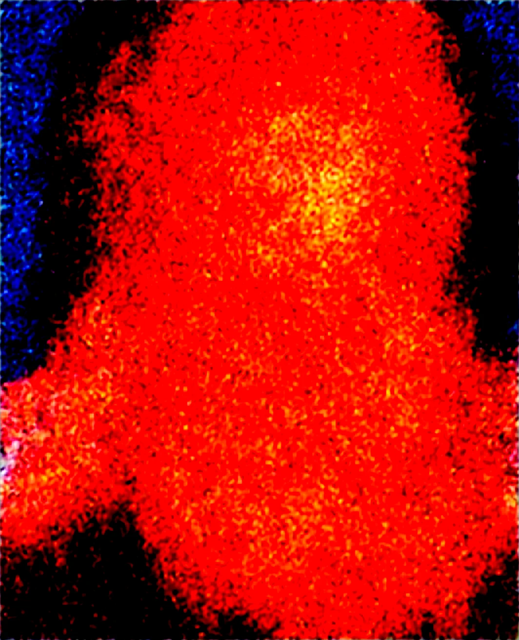 illusp0s-masterpiece-best-quality-anime-coloring-ebcdf9 on WAI-SHUFFLE-NOOB