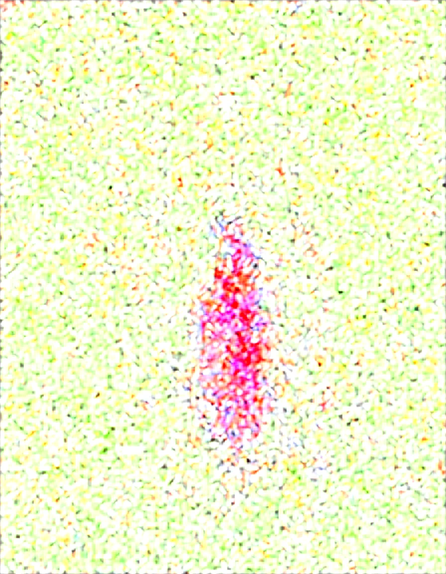 intimate-close-nsfw-year-old-japanese-e95177 on WAI-SHUFFLE-NOOB