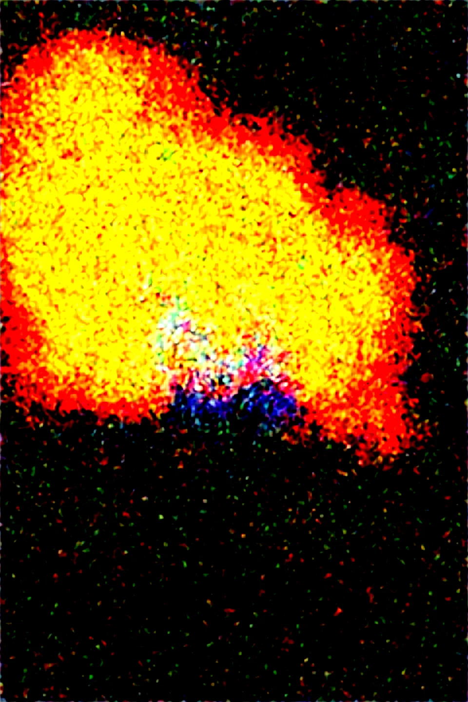 korean-woman-with-black-eyes-black-414fa1 on Obsession (Illustrious-XL)