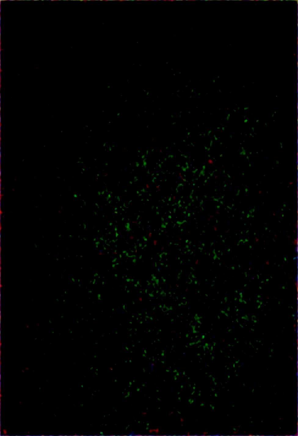 lazypos-masterpiece-sharp-focus-tack-sharp-1cf597 on Obsession (Illustrious-XL)