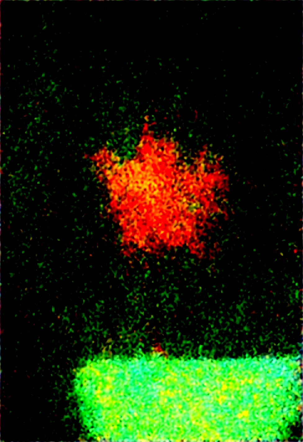 lazypos-masterpiece-sharp-focus-tack-sharp-27f5b3 on WAI-SHUFFLE-NOOB