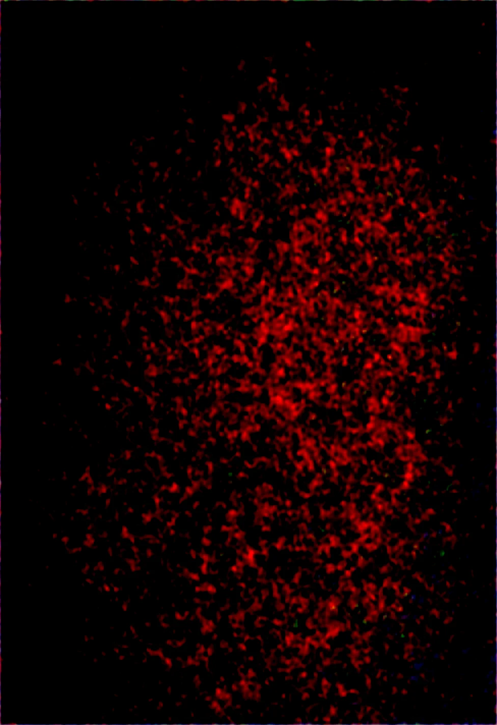 lazypos-masterpiece-sharp-focus-tack-sharp-2adb17 on Obsession (Illustrious-XL)