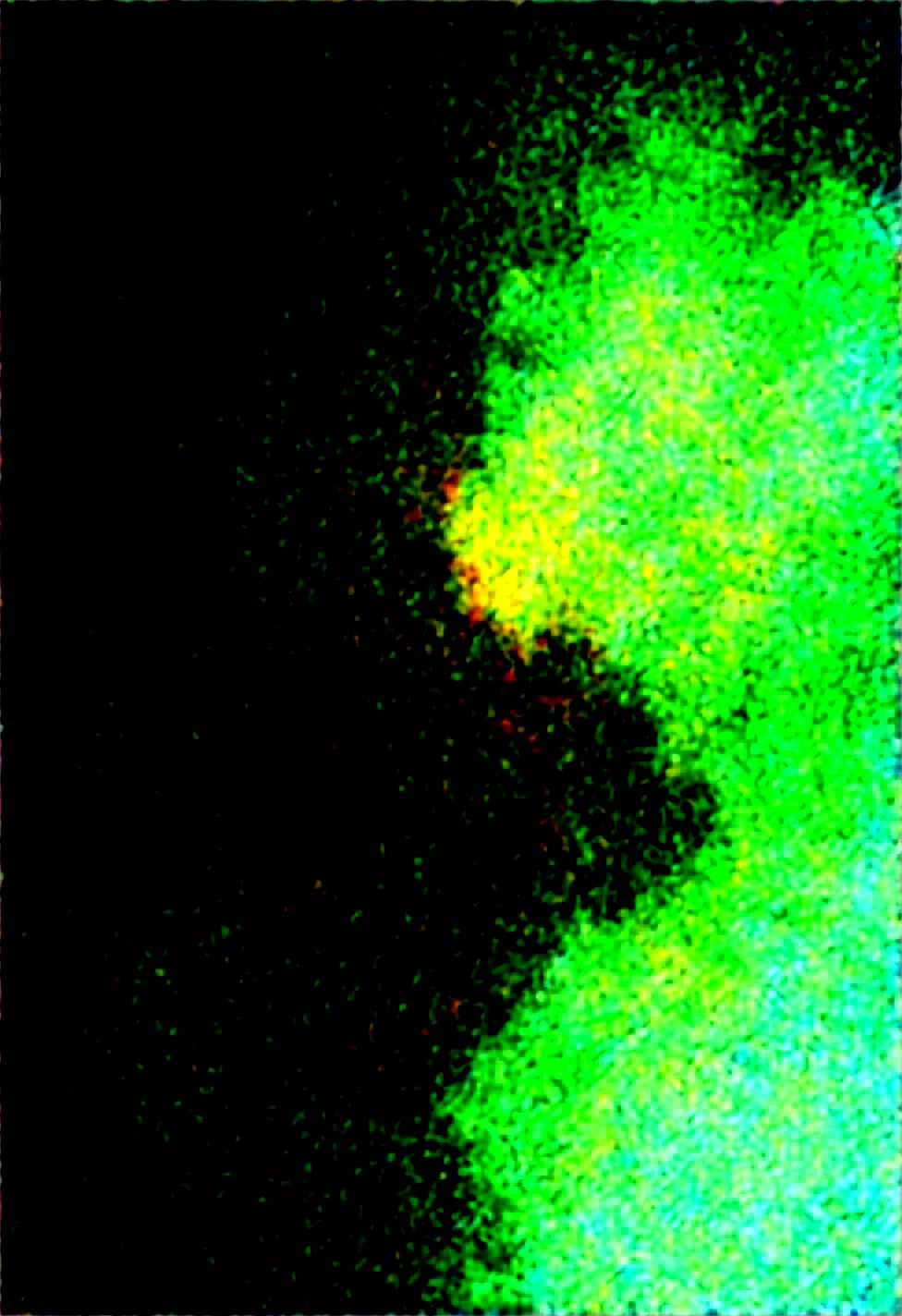 lazypos-masterpiece-sharp-focus-tack-sharp-2adb17 on WAI-SHUFFLE-NOOB