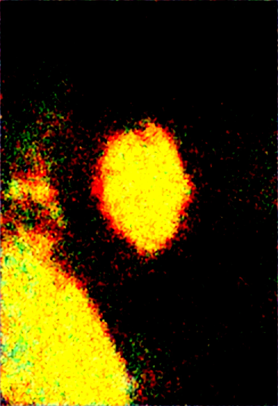 lazypos-masterpiece-sharp-focus-tack-sharp-6ec7d2 on WAI-SHUFFLE-NOOB