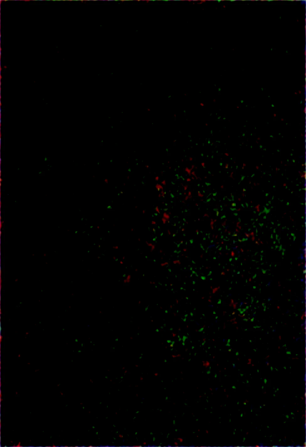 lazypos-masterpiece-sharp-focus-tack-sharp-a8f11c on Obsession (Illustrious-XL)