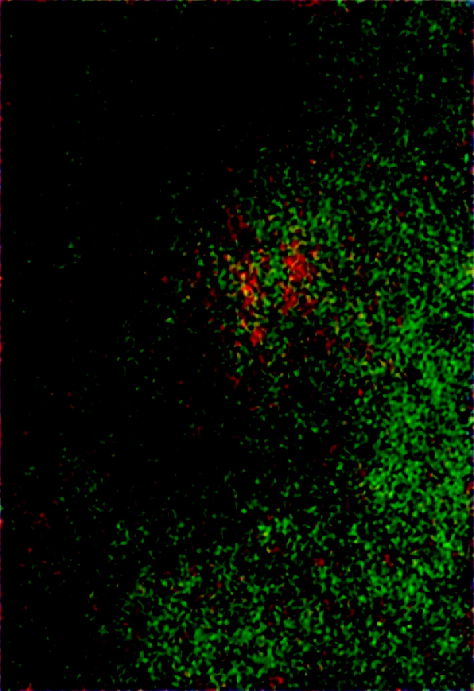 lazypos-masterpiece-sharp-focus-tack-sharp-a8f11c on WAI-SHUFFLE-NOOB