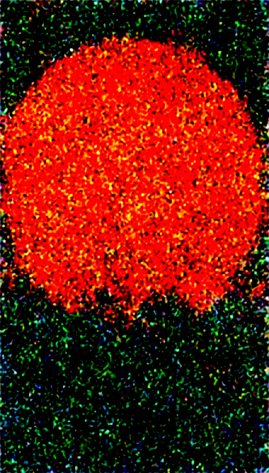 lazypos-masterwork-masterpiece-best-quality-detailed-6dc729 on WAI-SHUFFLE-NOOB