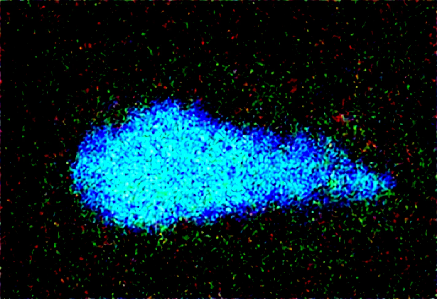 lazyup-masterpiece-best-quality-close-animal-08aee5 on Obsession (Illustrious-XL)