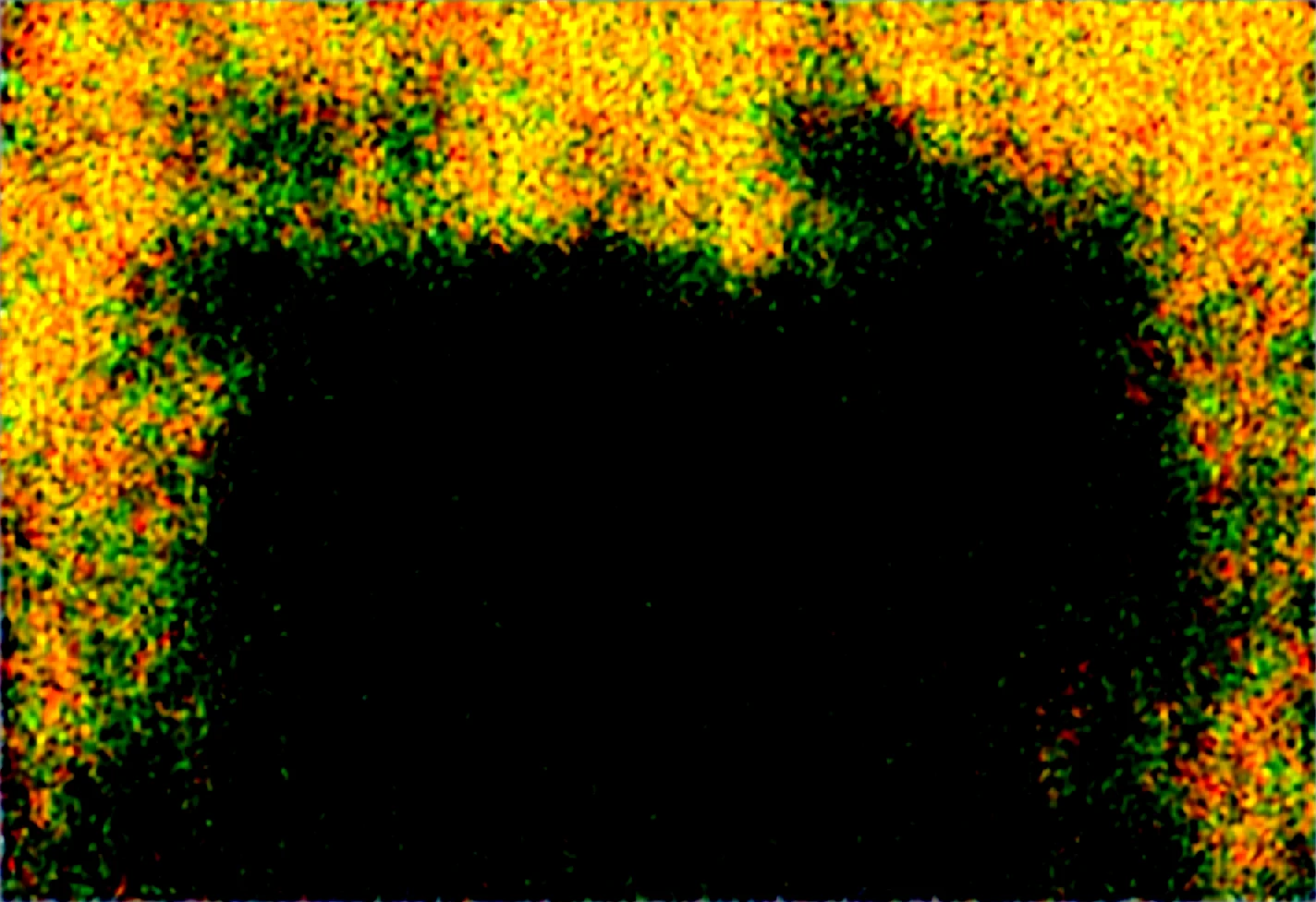 lora-marauder6272-huge-breasts-breasts-bigger-deb8cb on Obsession (Illustrious-XL)