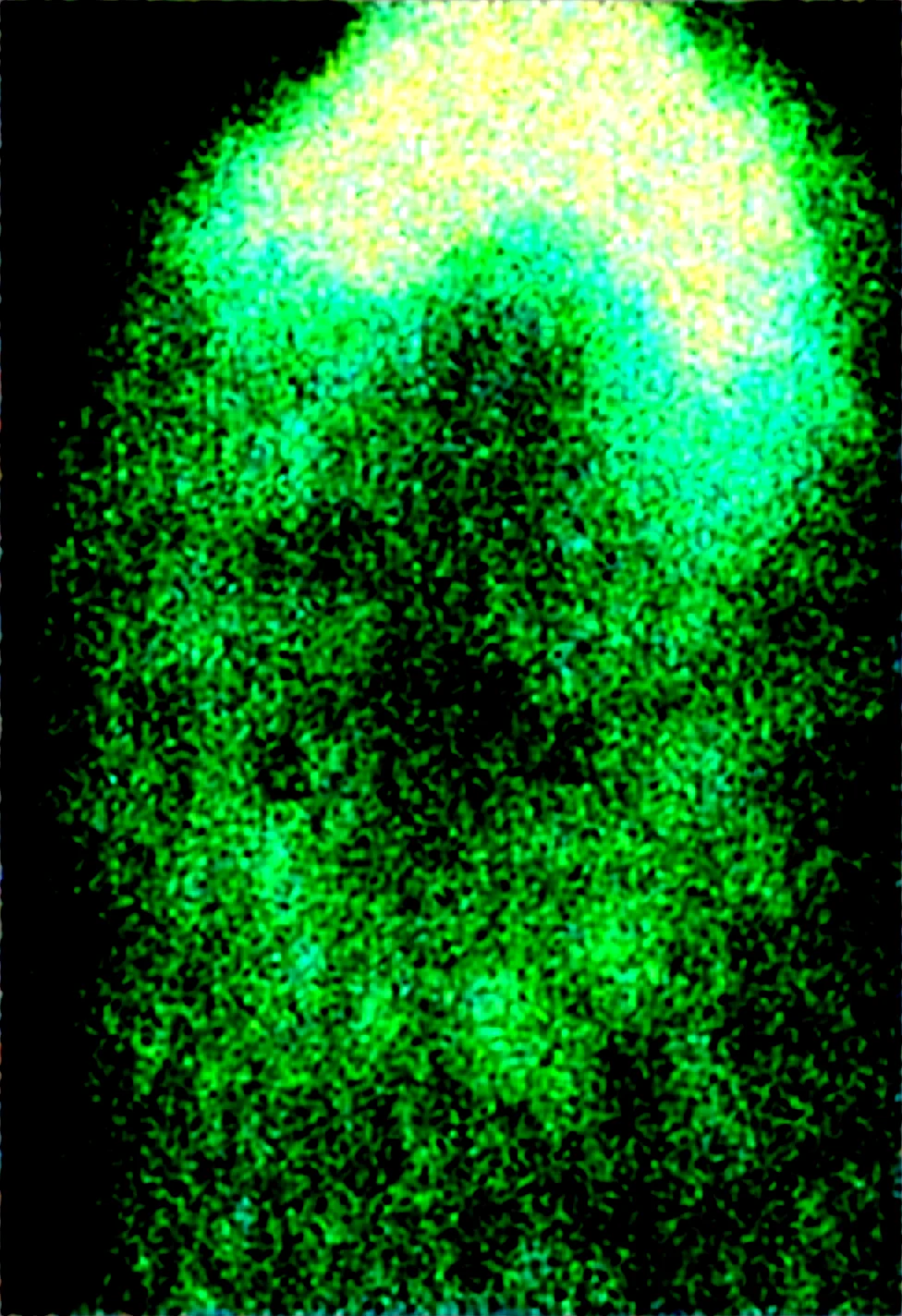 lora-marauder6272-huge-breasts-gigantic-breasts-53b43c on Obsession (Illustrious-XL)