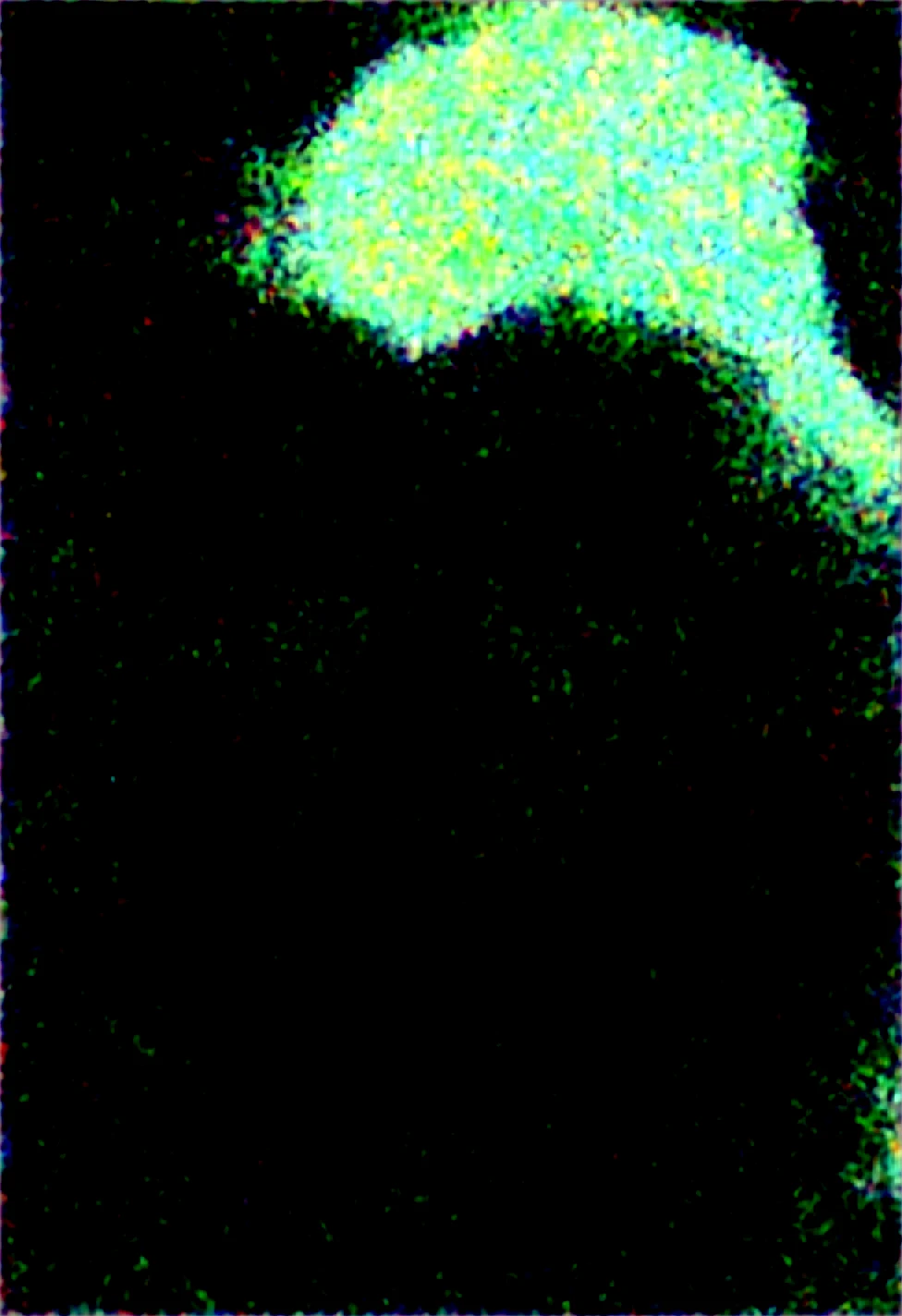 lora-marauder6272-huge-breasts-gigantic-breasts-53b43c on WAI-SHUFFLE-NOOB