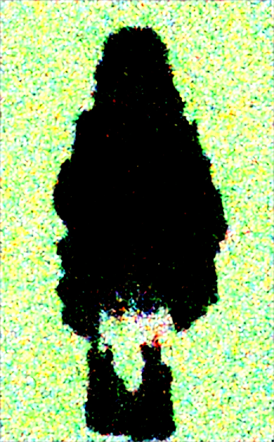 lora-mon3tr-2026-long-black-hair-ff1345 on Obsession (Illustrious-XL)