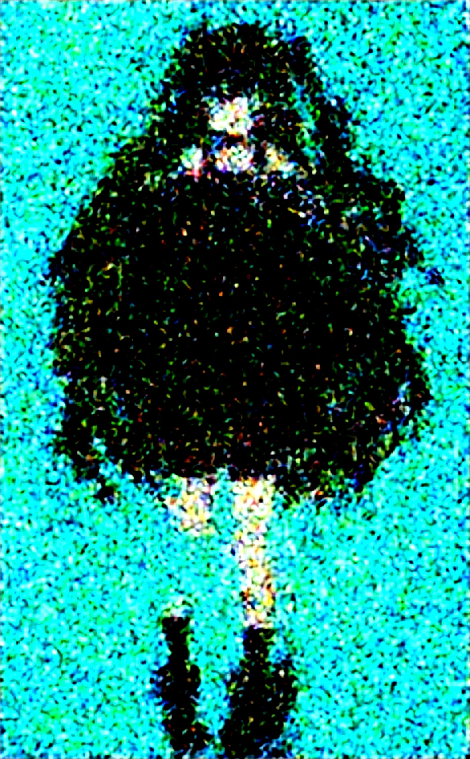 lora-mon3tr-2026-long-black-hair-ff1345 on WAI-SHUFFLE-NOOB