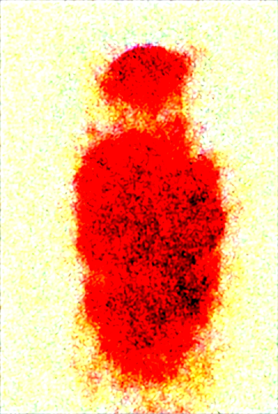 lora-muscle_slider_v4-lora-294cm_c-lora-748cm_illu-bfcd37 on Obsession (Illustrious-XL)