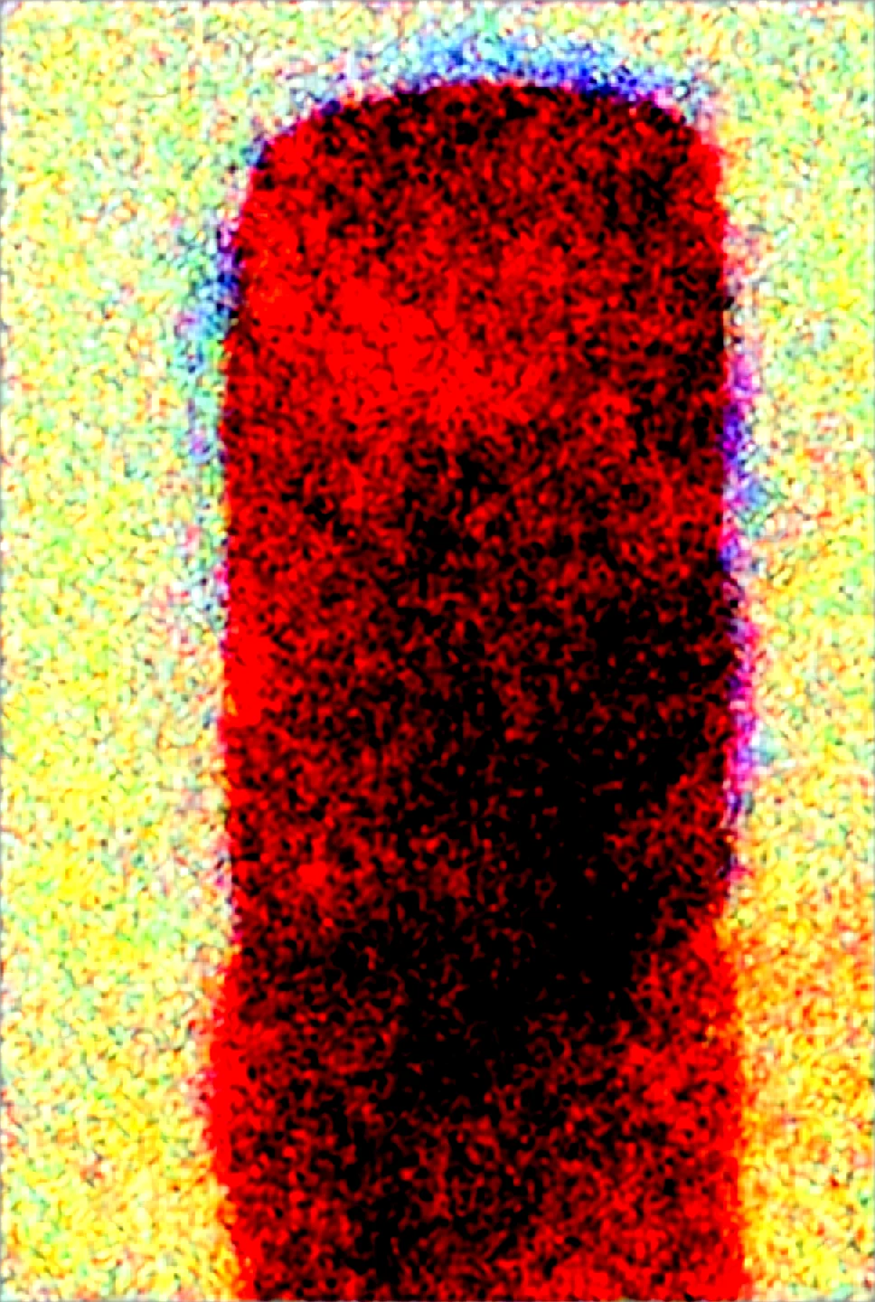 lora-muscle_slider_v4-lora-294cm_c-lora-748cm_illu-bfcd37 on WAI-SHUFFLE-NOOB