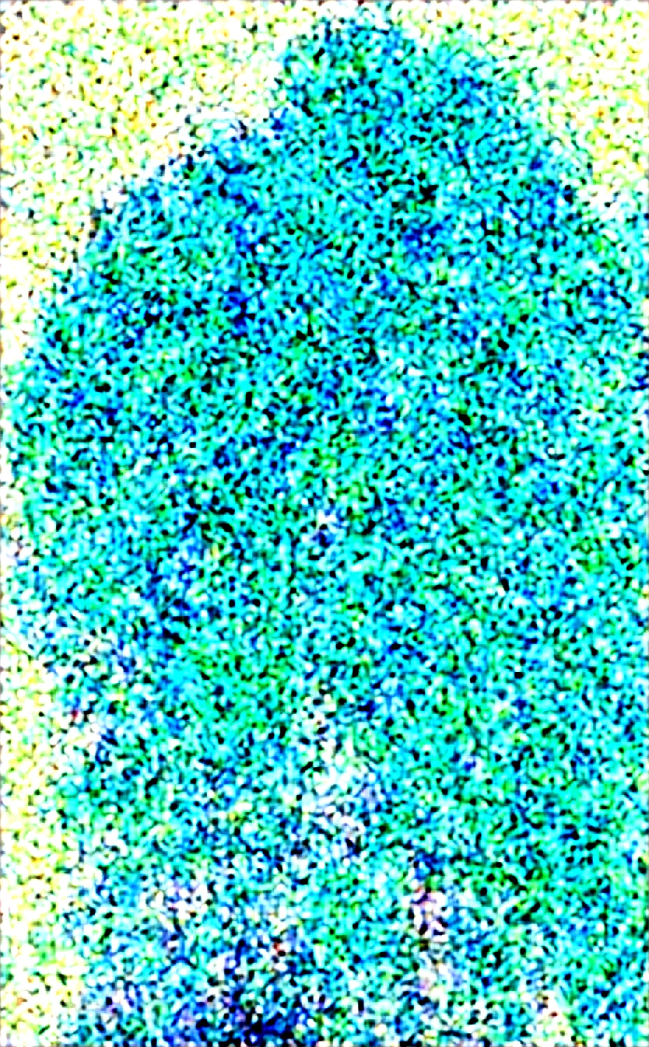 lora-white-teal-hair-high-ponytail-5713b0 on WAI-SHUFFLE-NOOB