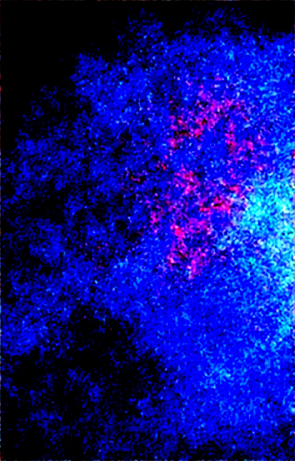 masterpiece-absurdres-ultra-detailed-best-quality-da4bd5 on Obsession (Illustrious-XL)