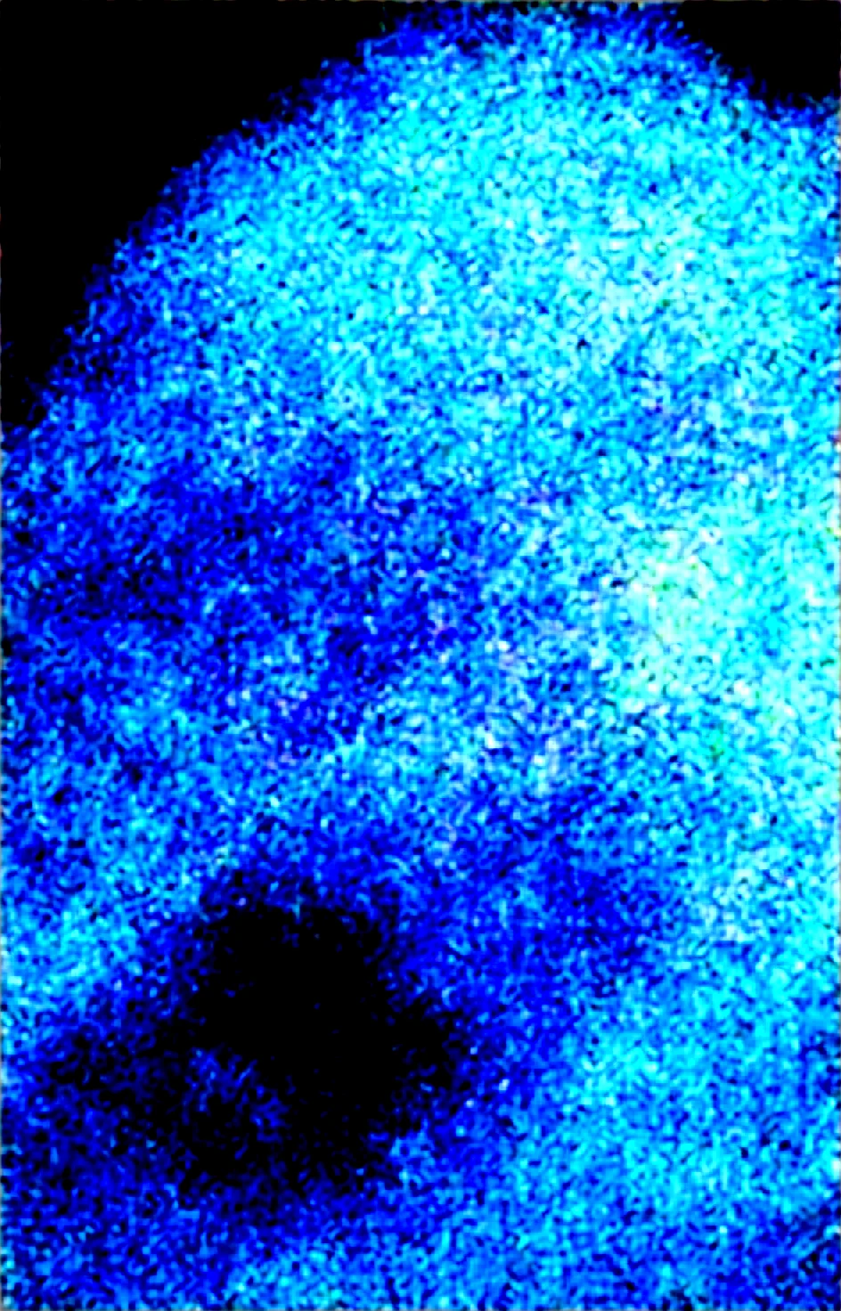 masterpiece-absurdres-ultra-detailed-best-quality-da4bd5 on WAI-SHUFFLE-NOOB