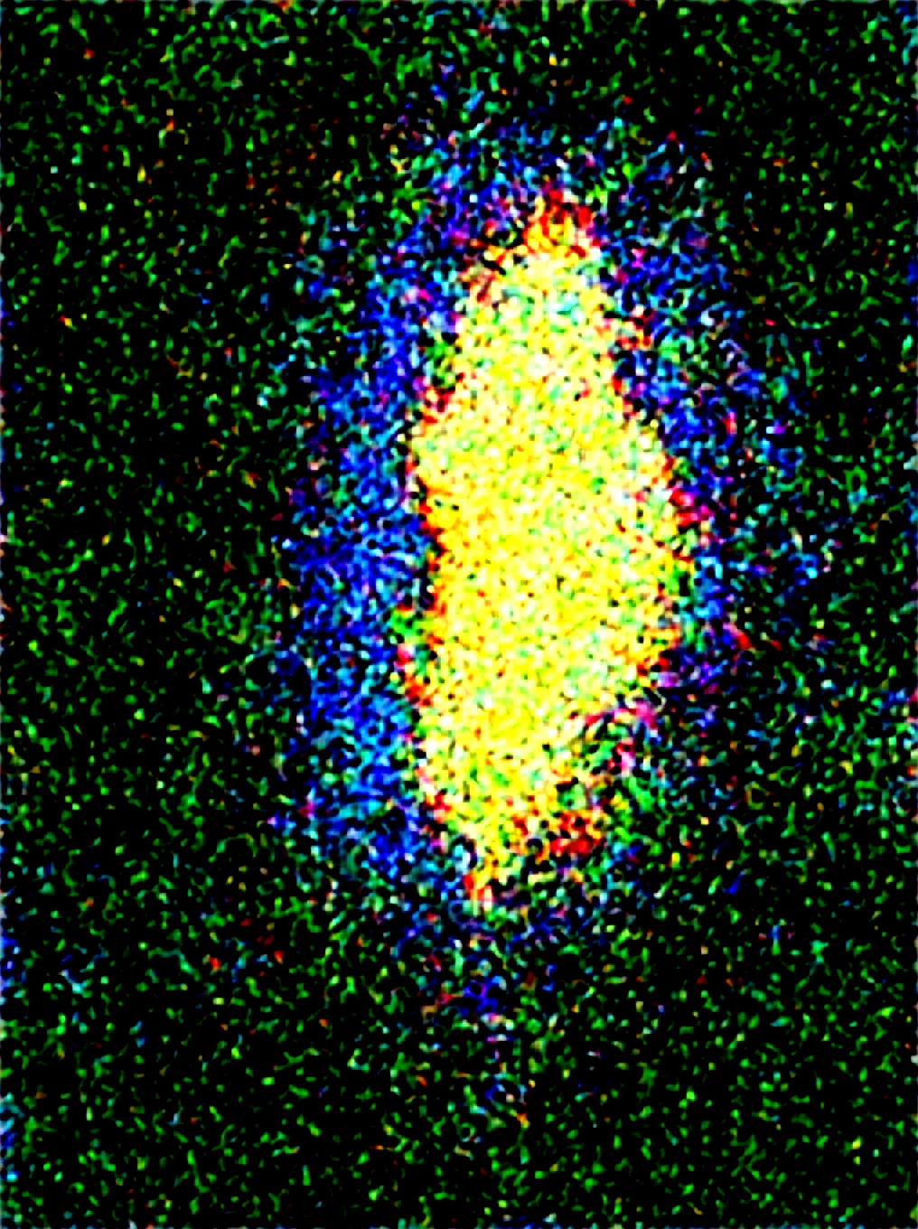 masterpiece-best-quality-amazing-quality-very-897bca on WAI-SHUFFLE-NOOB