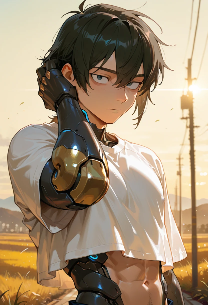 masterpiece-best-quality-amazing-quality-very-a19c7c on Nova Furry XL