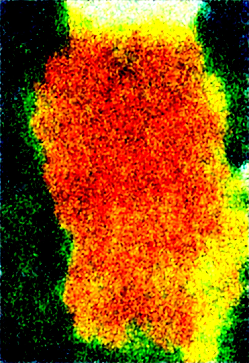 masterpiece-best-quality-highly-detailed-flygon-a0b827 on Obsession (Illustrious-XL)