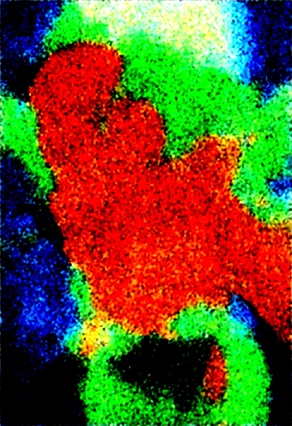 masterpiece-best-quality-highly-detailed-flygon-a0b827 on WAI-SHUFFLE-NOOB