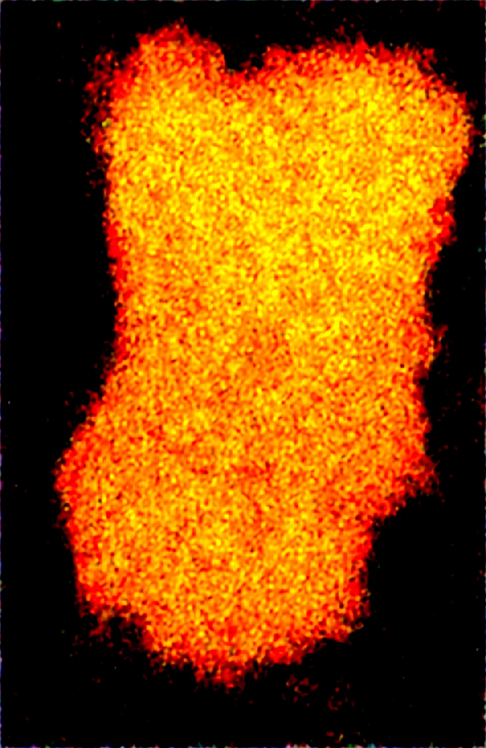 masterpiece-best-quality-newest-absurdres-lazypos-87447c on Obsession (Illustrious-XL)