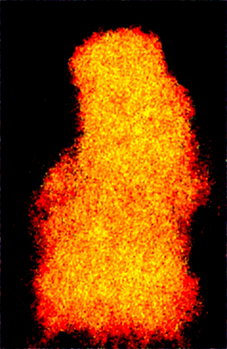 masterpiece-best-quality-newest-absurdres-lazypos-c4e27e on Obsession (Illustrious-XL)