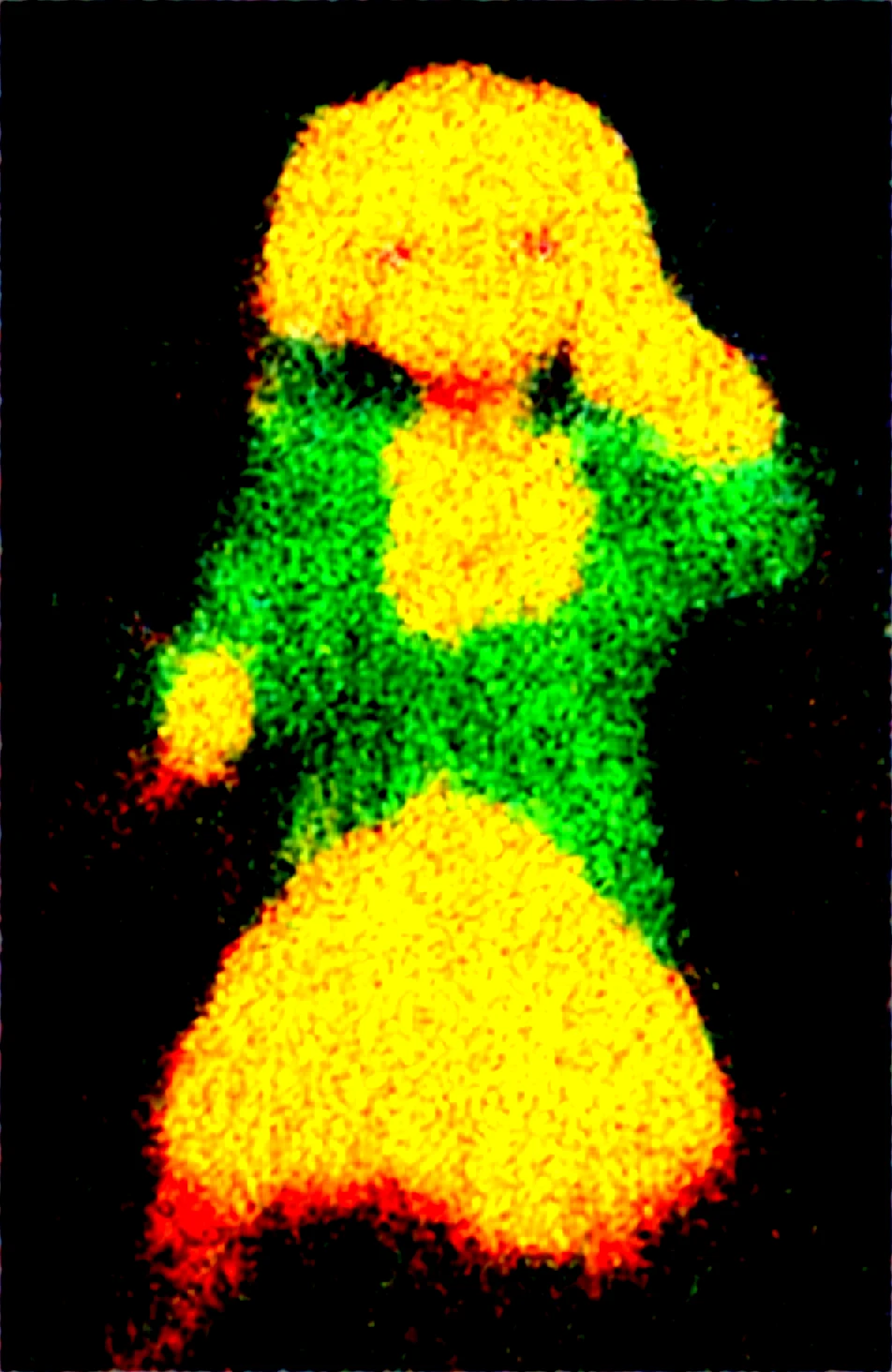 masterpiece-best-quality-newest-absurdres-lazypos-c4e27e on WAI-SHUFFLE-NOOB