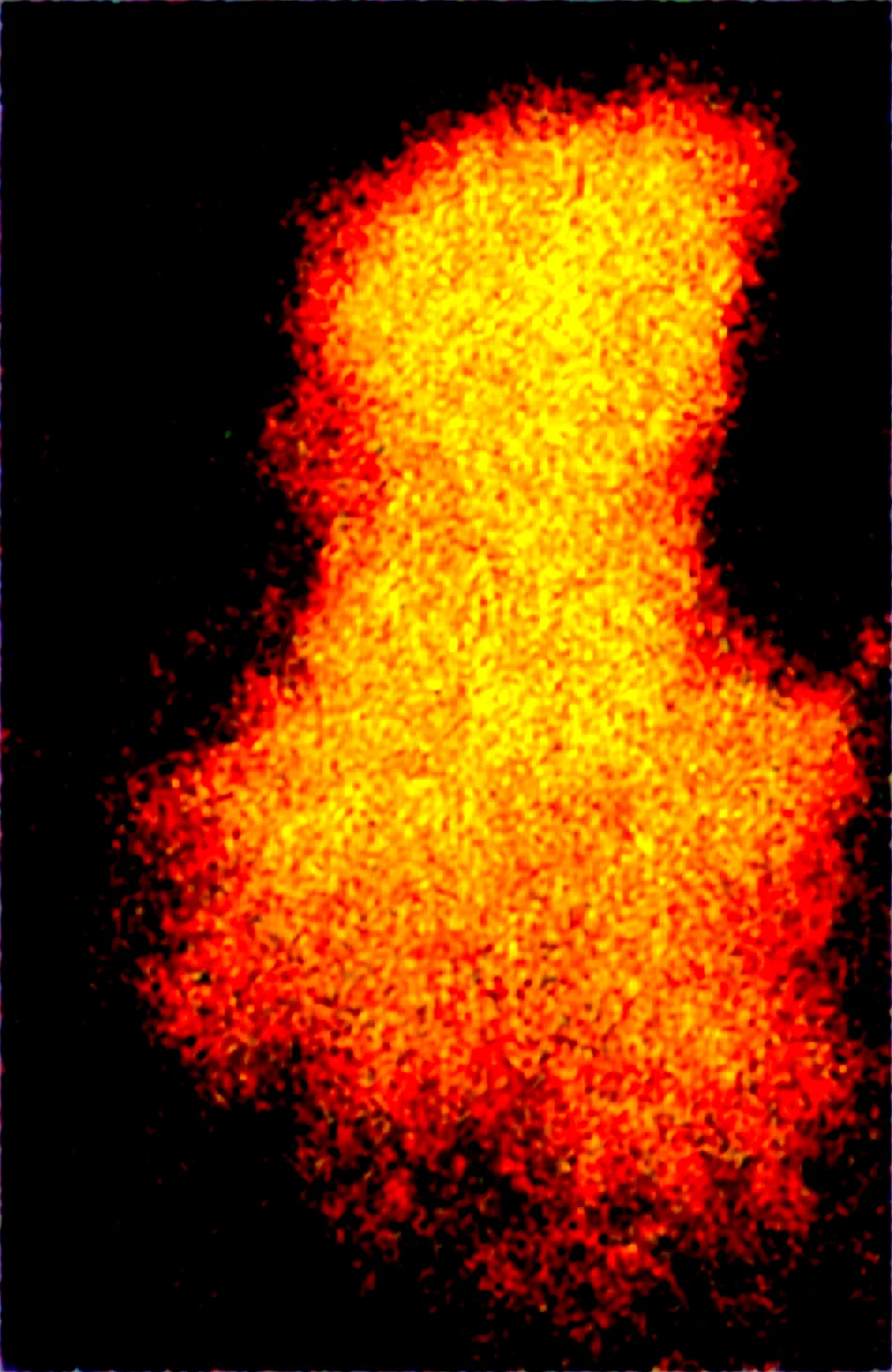 masterpiece-best-quality-newest-absurdres-lazypos-e2f2e3 on Obsession (Illustrious-XL)