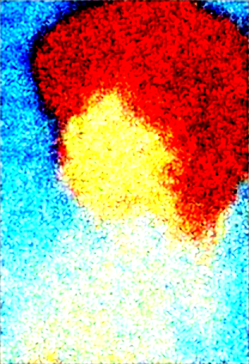 masterpiece-best-quality-perfect-anatomy-anime-3252c4 on Obsession (Illustrious-XL)