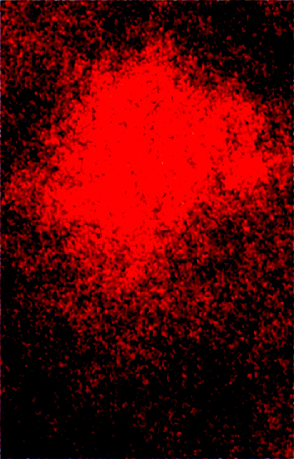 masterpiece-best-quality-perfect-quality-absurdres-067289 on Obsession (Illustrious-XL)