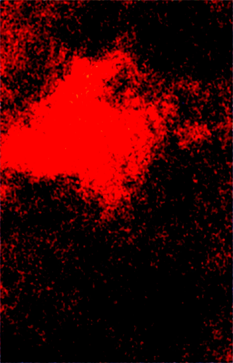 masterpiece-best-quality-perfect-quality-absurdres-067289 on WAI-SHUFFLE-NOOB