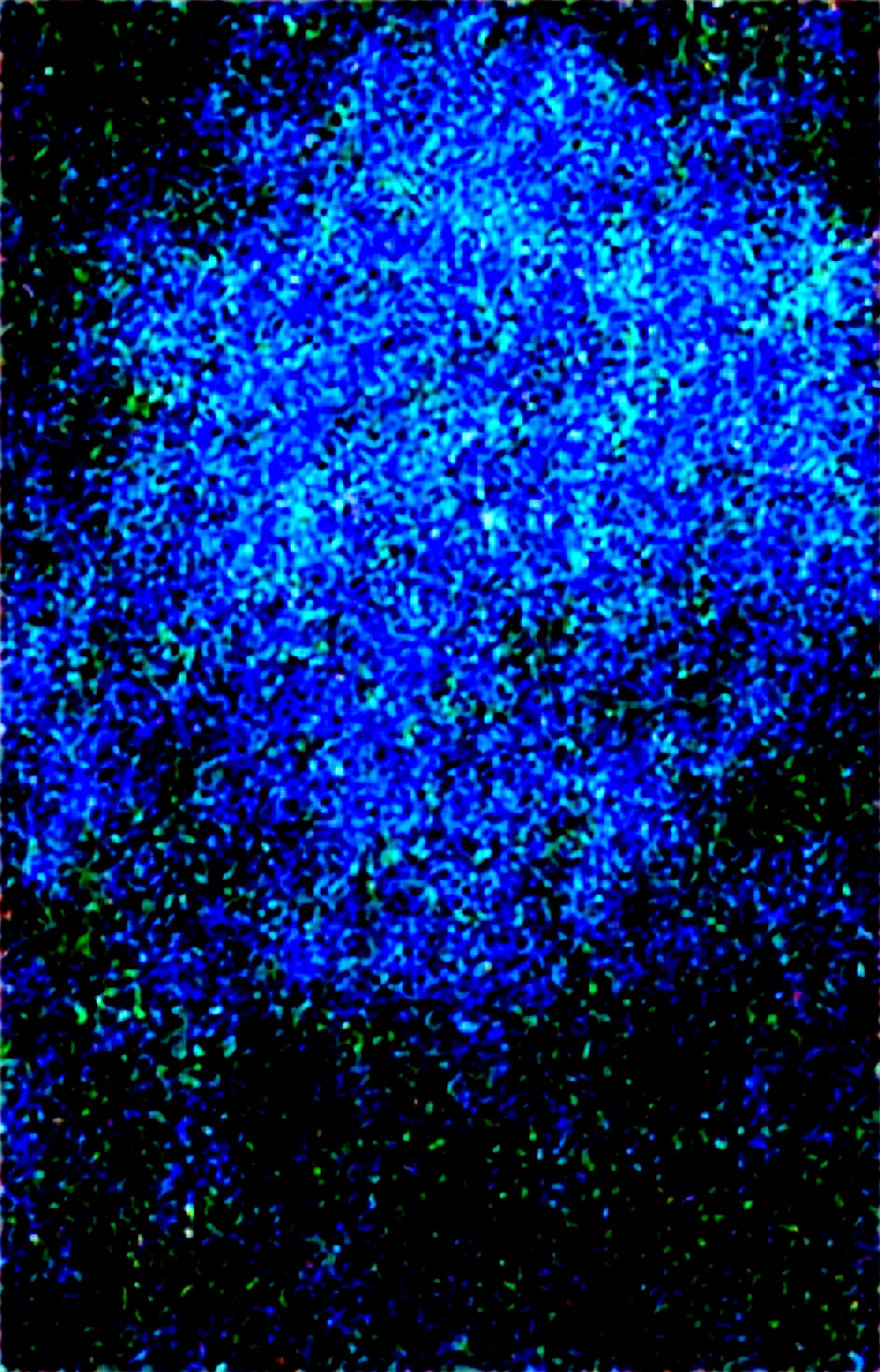 masterpiece-best-quality-perfect-quality-absurdres-0816f7 on Obsession (Illustrious-XL)