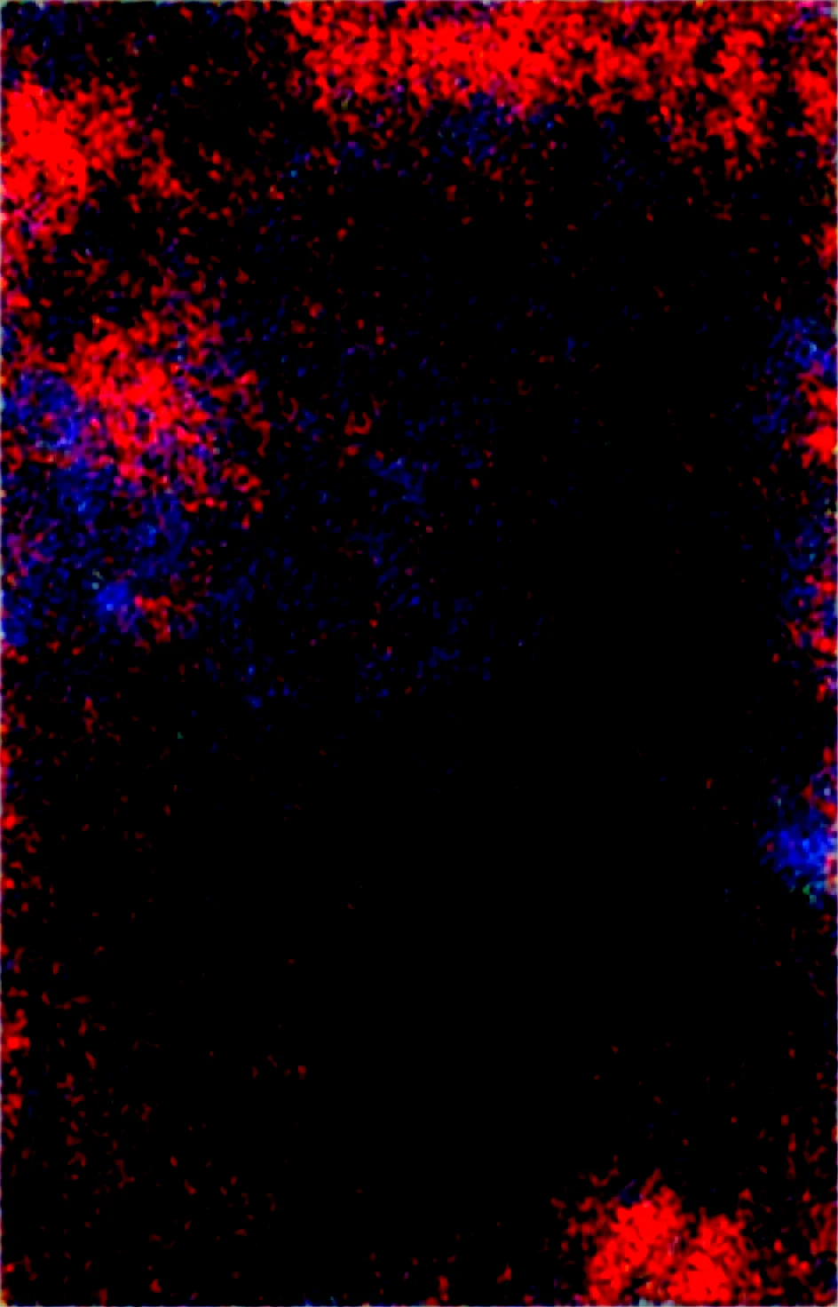 masterpiece-best-quality-perfect-quality-absurdres-6e584b on Obsession (Illustrious-XL)