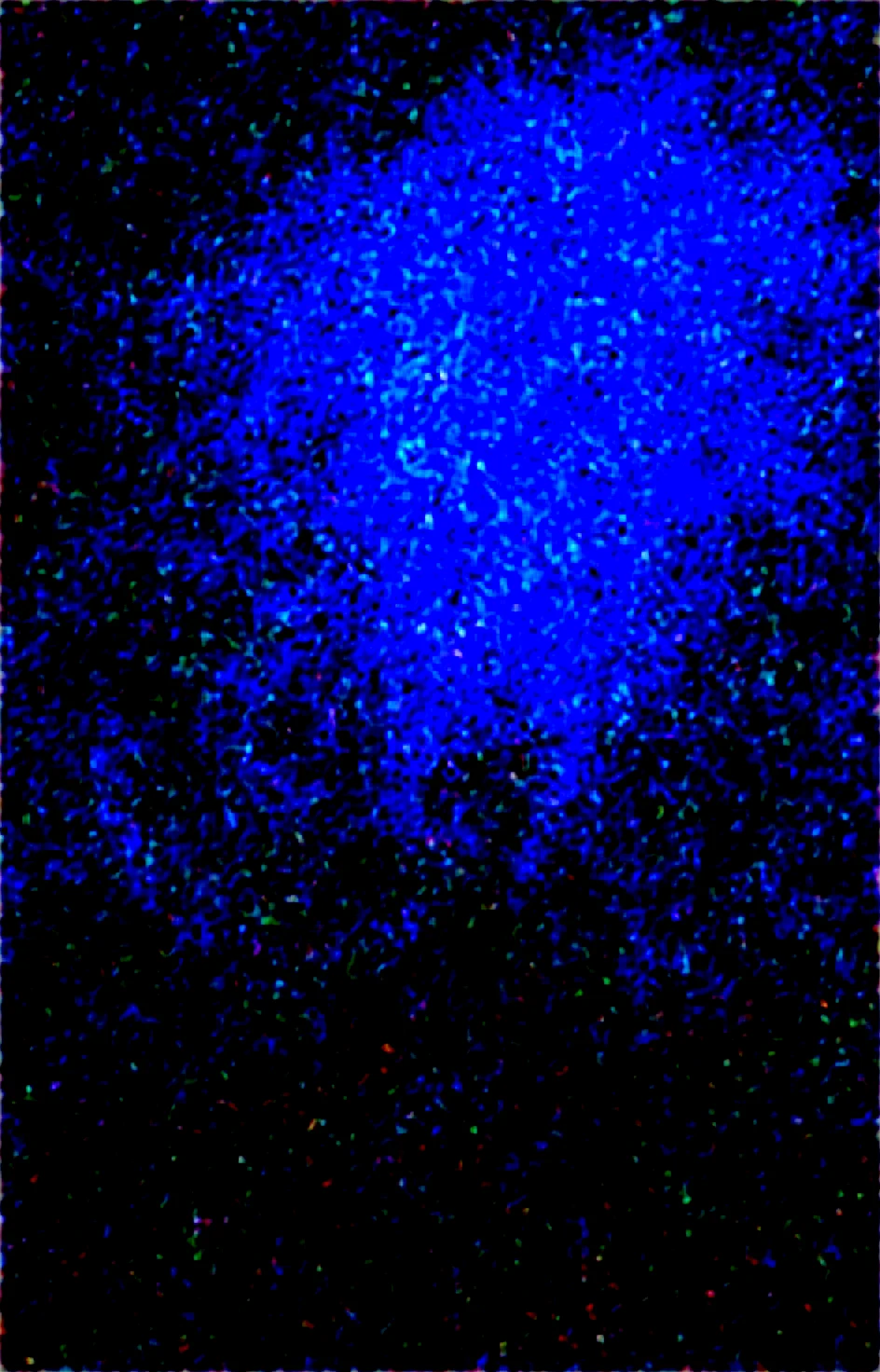 masterpiece-best-quality-perfect-quality-absurdres-6fc5e9 on Obsession (Illustrious-XL)