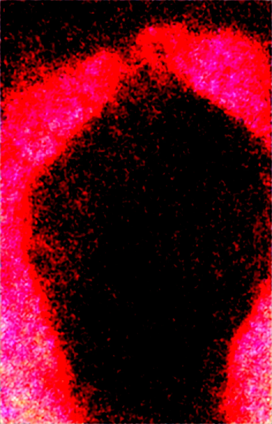 masterpiece-best-quality-perfect-quality-absurdres-bbdd8c on Obsession (Illustrious-XL)