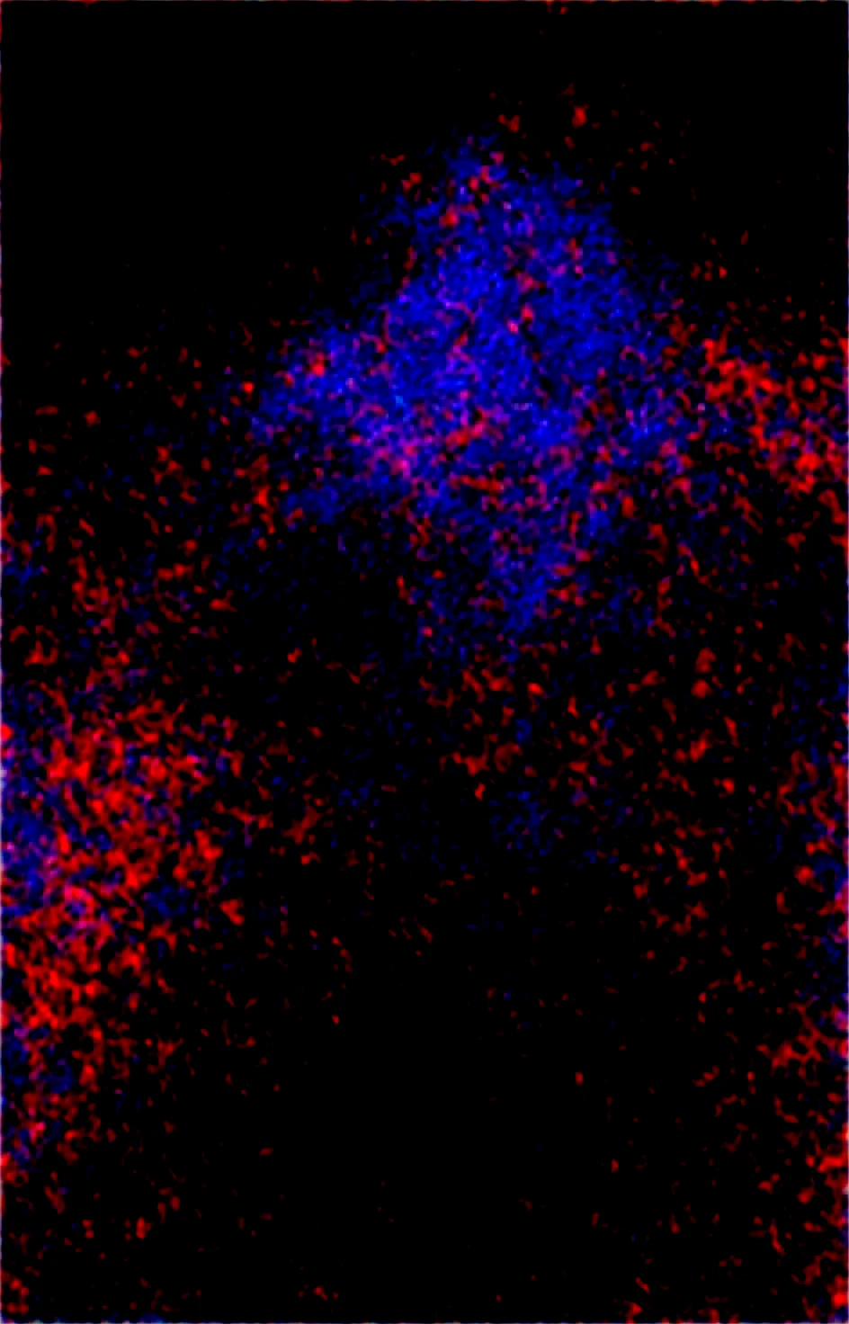 masterpiece-best-quality-perfect-quality-absurdres-c29725 on Obsession (Illustrious-XL)