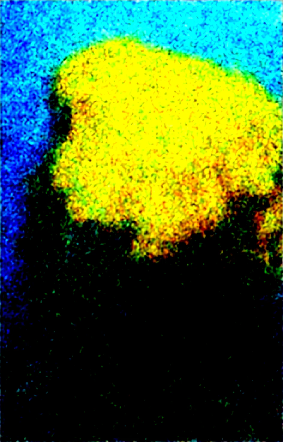 masterpiece-best-quality-perfect-quality-absurdres-db752e on Obsession (Illustrious-XL)