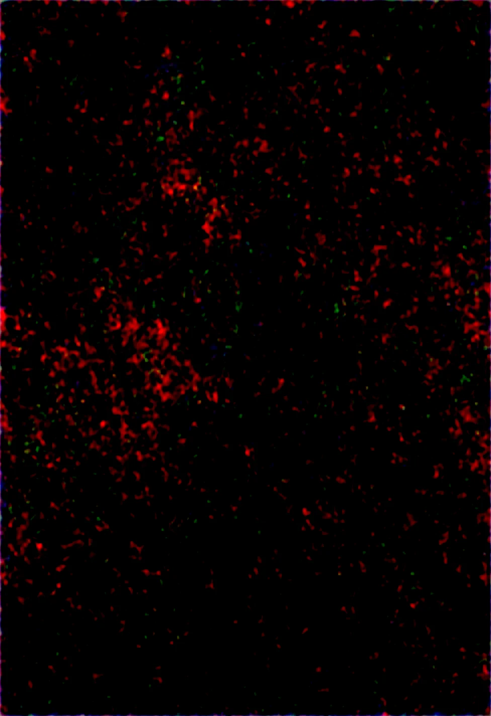 masterpiece-best-quality-perfect-quality-male-ec0896 on Obsession (Illustrious-XL)