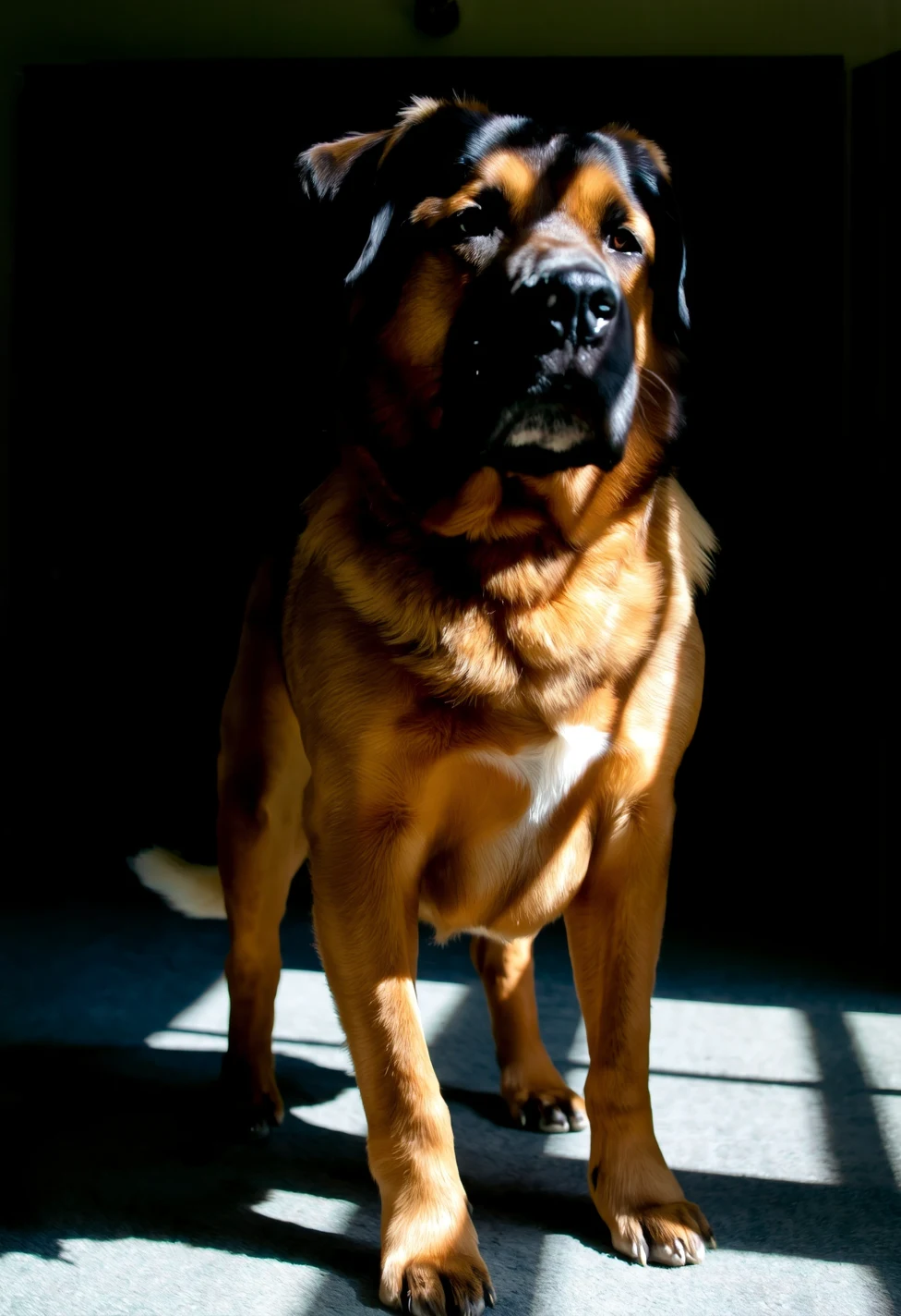 masterpiece-best-quality-perfect-quality-male-ec0896 on PixelWave