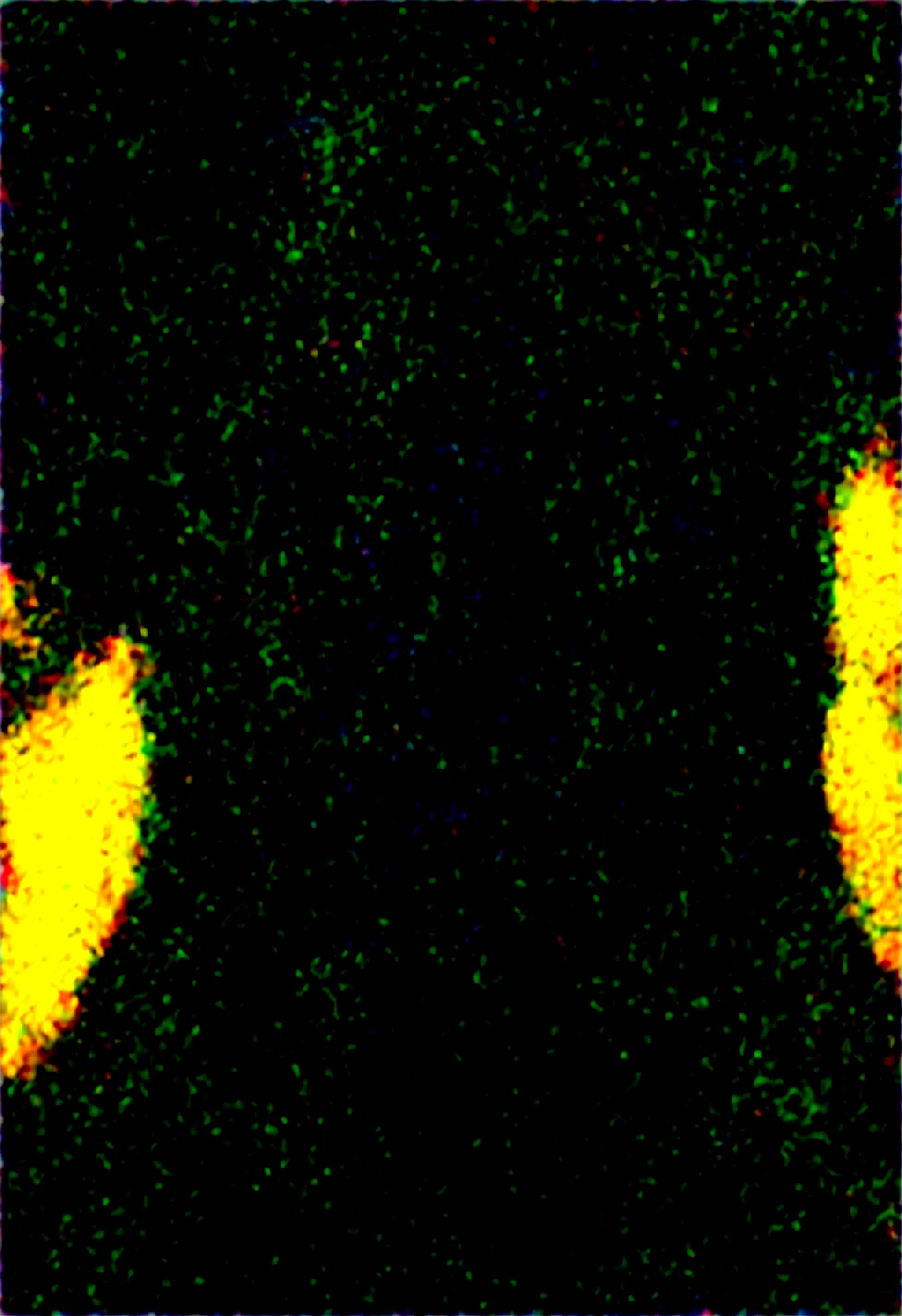 masterpiece-best-quality-perfect-quality-male-ec0896 on WAI-SHUFFLE-NOOB