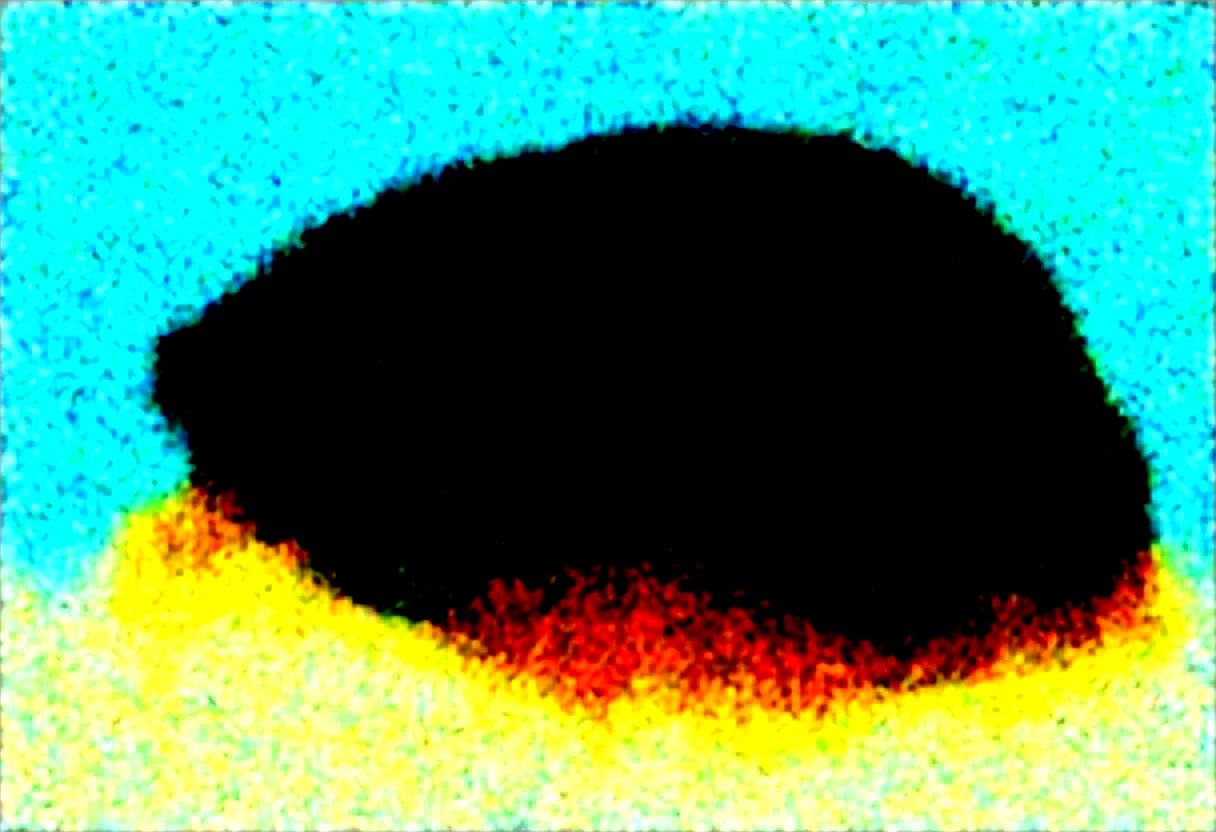 masterpiece-best-quality-sharp-focus-highly-2adb28 on Obsession (Illustrious-XL)