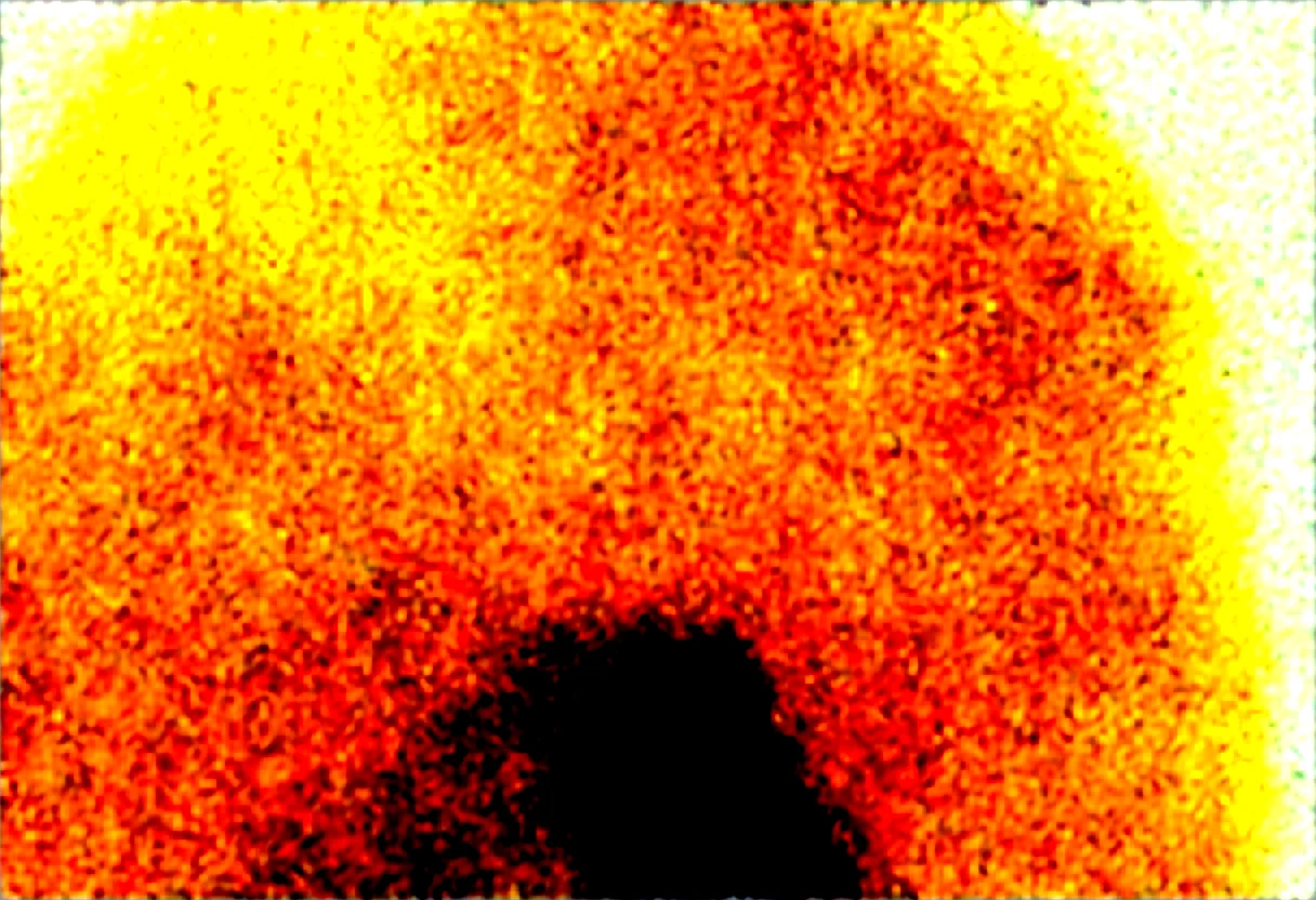 masterpiece-best-quality-sharp-focus-highly-2f5b51 on Obsession (Illustrious-XL)