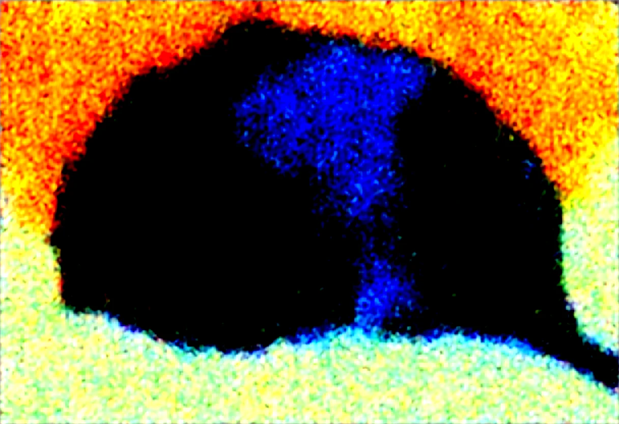 masterpiece-best-quality-sharp-focus-highly-386f21 on Obsession (Illustrious-XL)