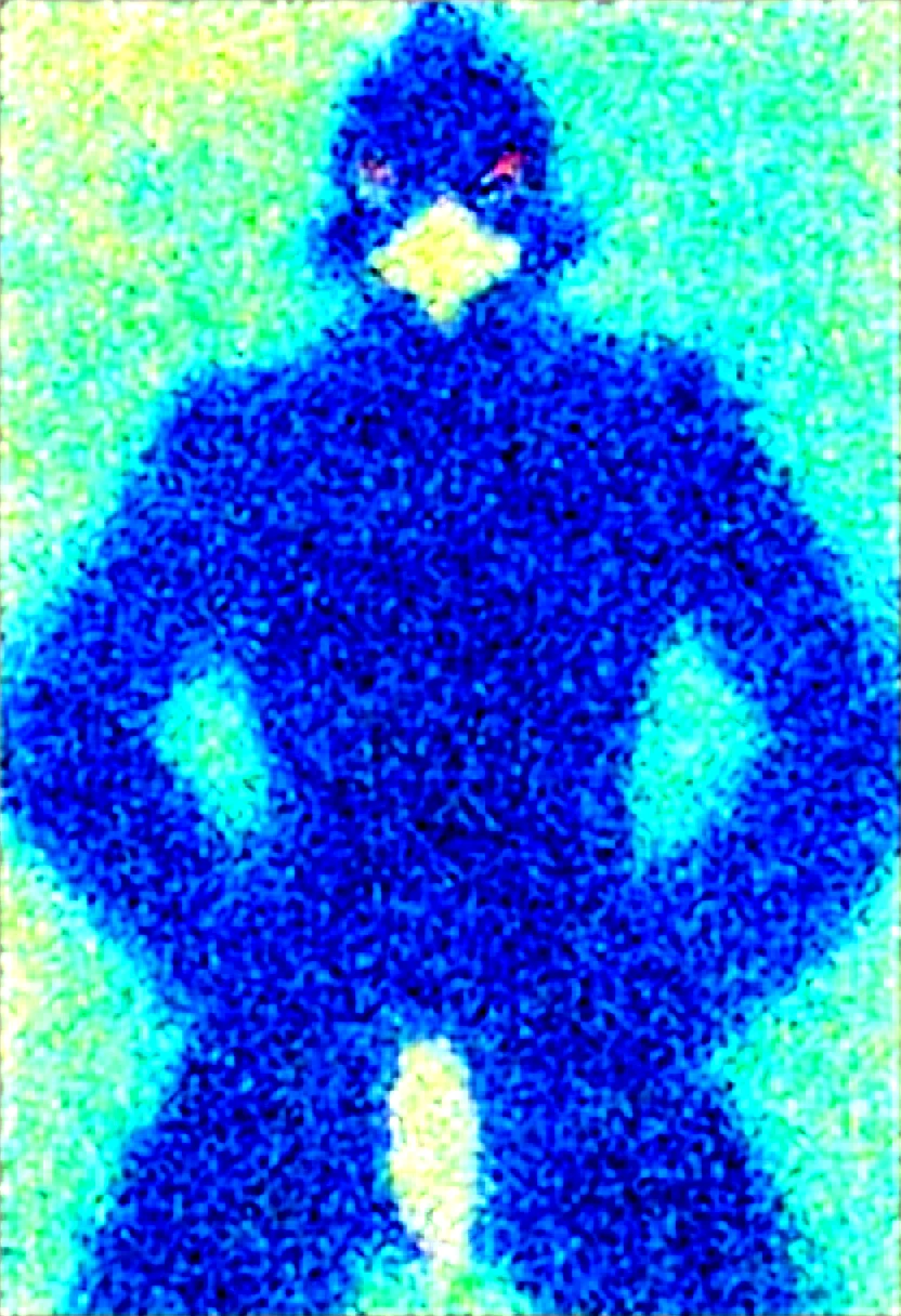 masterpiece-best-quality-sharp-focus-highly-3b4ae6 on WAI-SHUFFLE-NOOB