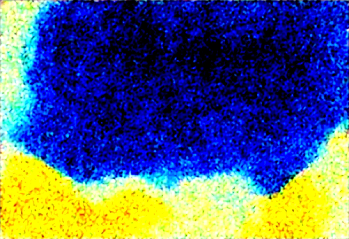 masterpiece-best-quality-sharp-focus-highly-7f1356 on Obsession (Illustrious-XL)