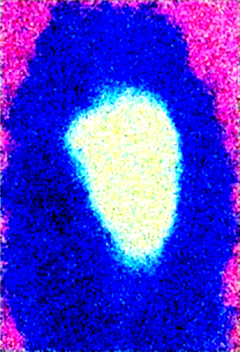 masterpiece-best-quality-sharp-focus-highly-96637b on Obsession (Illustrious-XL)